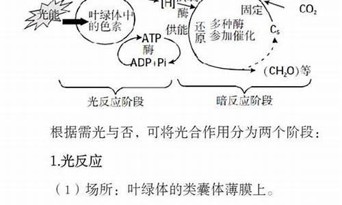 高考光合作用大题,高考光合作用大题20道及答案