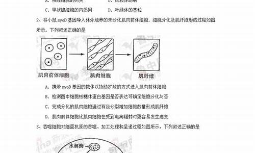 2006山东高考理综,2006年山东高考理综