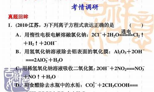 高考复习离子反应,离子反应高考题