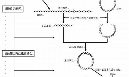 高考基因工程考试方向-高考基因工程