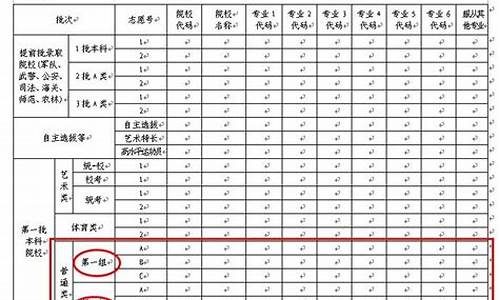 高考平行志愿填报实例-高考平行志愿怎么填填报技巧是什么